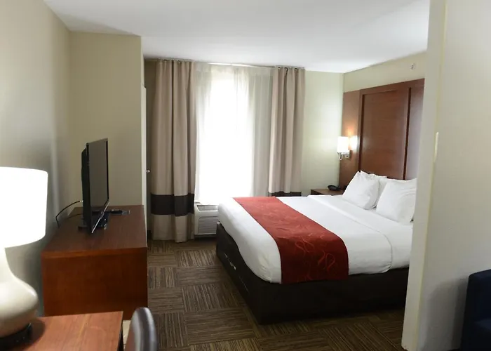 Hotel Comfort Urbana Champaign, Area Champaign