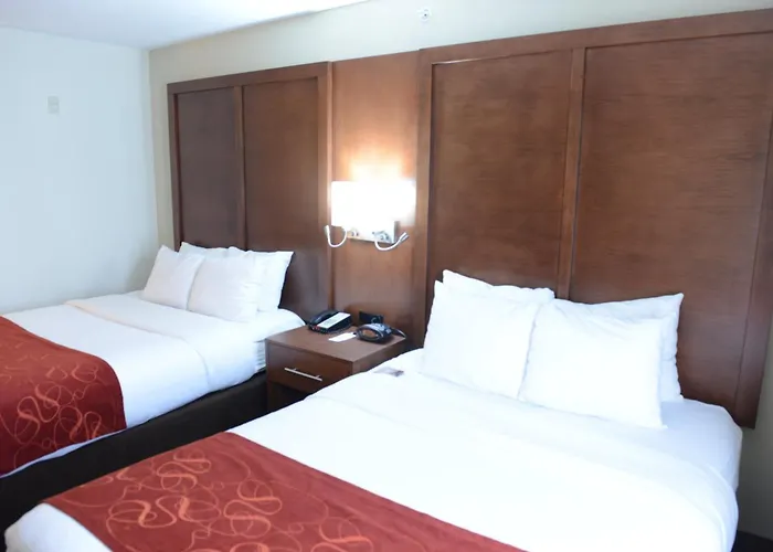 Hotel Comfort Urbana Champaign, Area