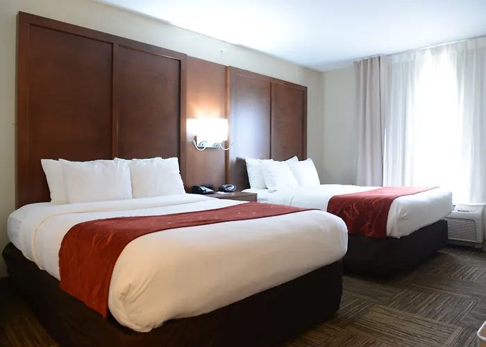 Comfort Urbana Champaign, Area Hotel Champaign