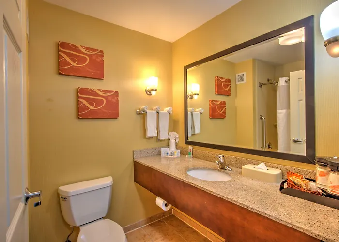 Hotel Comfort Urbana Champaign, Area 5*