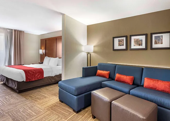 Comfort Urbana Champaign, Area 5*