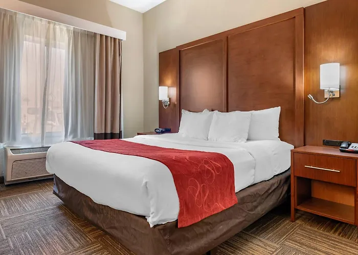 Comfort Urbana Champaign, Area Hotel