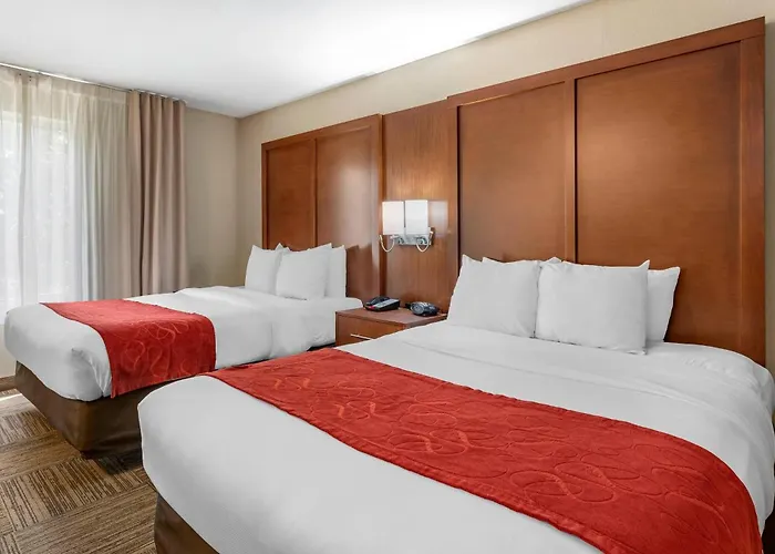 Comfort Urbana Champaign, Area Hotel 5*