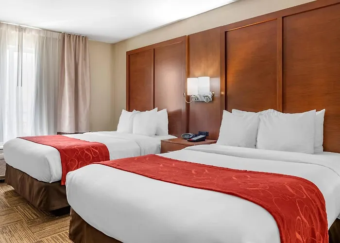 Comfort Urbana Champaign, Area Hotel Champaign