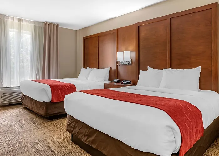 Comfort Urbana Champaign, Area 5*