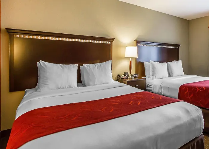 Comfort Urbana Champaign, Area Hotel 5*